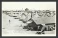 Postcard: [Section of the Army Camp]