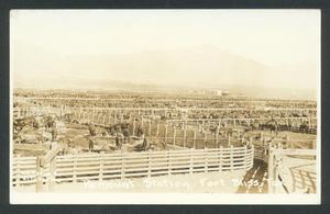 [Piemont Station, Fort Bliss]