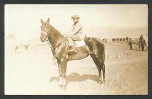 [Racehorses on display in the cold desert.]