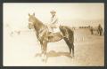 Postcard: [Racehorses on display in the cold desert.]