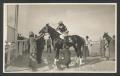Postcard: [Racer Horse and Rider]
