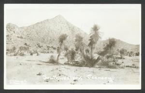 Primary view of object titled '[Southwestern Desert Scenery]'.