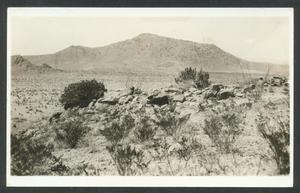 [Southwest Desert Vista]