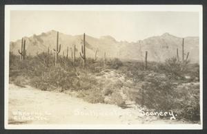 Primary view of object titled '[Southwestern Scenery]'.