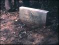 Thumbnail image of item number 1 in: '[Grave of Willie S. Truitt, Marshall]'.