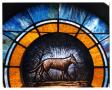 Thumbnail image of item number 1 in: '[Stained Glass Window Pane of a Wolf]'.