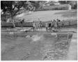Primary view of [Young boys and girls standing at edge of Deep Eddy pool looking upon the swimmers in water]