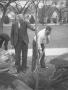 Photograph: [Photograph of Men Planting a Pecan Tree]