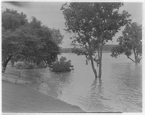 Primary view of object titled 'Trees on a Flooded Riverbank'.