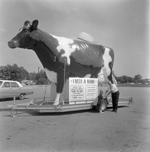 Fiberglass Cow Naming Contest