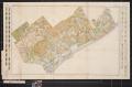 Thumbnail image of item number 1 in: 'Soil map, Texas, reconnoissance survey, central Gulf coast sheet'.