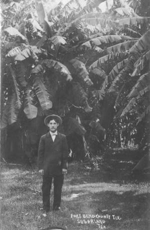 [Postcard of Man and Banana Plants]