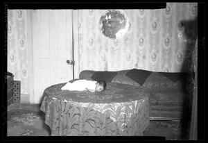 [Photograph of an Infant Child]