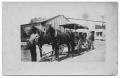 Thumbnail image of item number 1 in: '[Horses Hitched to Wagon]'.