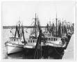 Primary view of [Fleet of Shrimp Boats]