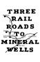 Thumbnail image of item number 1 in: 'Three Railroads to Mineral Wells'.