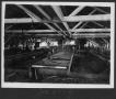 Thumbnail image of item number 1 in: '[Southern Pine Lumber Company Sawmill Interior]'.