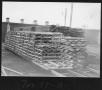 Photograph: [Stacked Lath near the Dry Kilns]