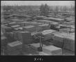 Photograph: [Southern Pine Lumber Company Lumber Yard - Central View]