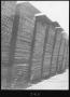 Photograph: [Hardwood Lumber Stacks]