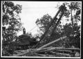 Primary view of [Steam Skidder and Crew]
