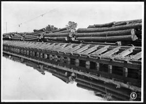 [Log Cars along the Log Pond Unloading Dock]