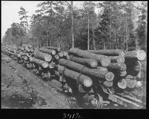 Primary view of object titled '[Texas South-Eastern Railroad Engine 7 Log Train]'.