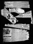 Thumbnail image of item number 4 in: 'The Bastrop Advertiser (Bastrop, Tex.), Vol. 39, No. 45, Ed. 1 Saturday, November 9, 1895'.
