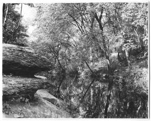 [Photograph of a Creek]