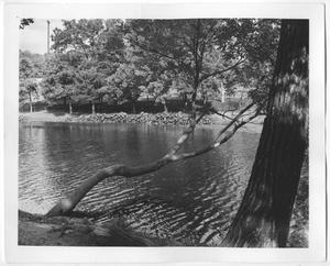 [Photograph of Lee Park at Turtle Creek]