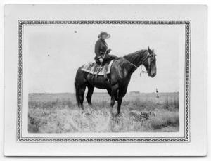 Primary view of object titled '[Mrs. John P. Yarbrough on side saddle]'.