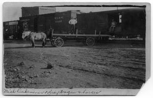 Primary view of object titled '[Mish Dukeminer with horse and wagon]'.