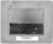 Primary view of [Cotton yard in Wellington]
