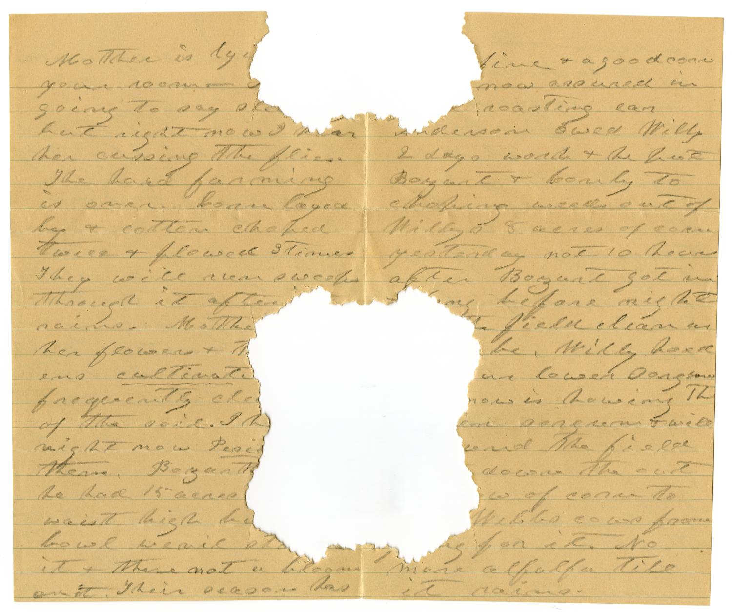 [Letter to Linnet Moore and Family, June 1901]
                                                
                                                    [Sequence #]: 2 of 8
                                                