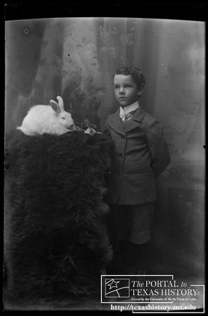 [Young boy with his rabbit]