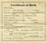 Letter: [Certificate of birth of Julia Ann Pratt]