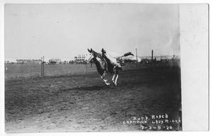Primary view of object titled 'Ruth Roach, Champion Lady Rider'.