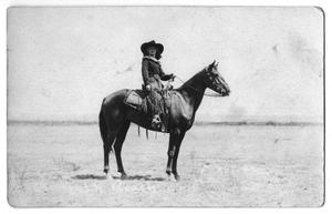 Primary view of object titled 'Ruth Roach Posing on a Horse'.