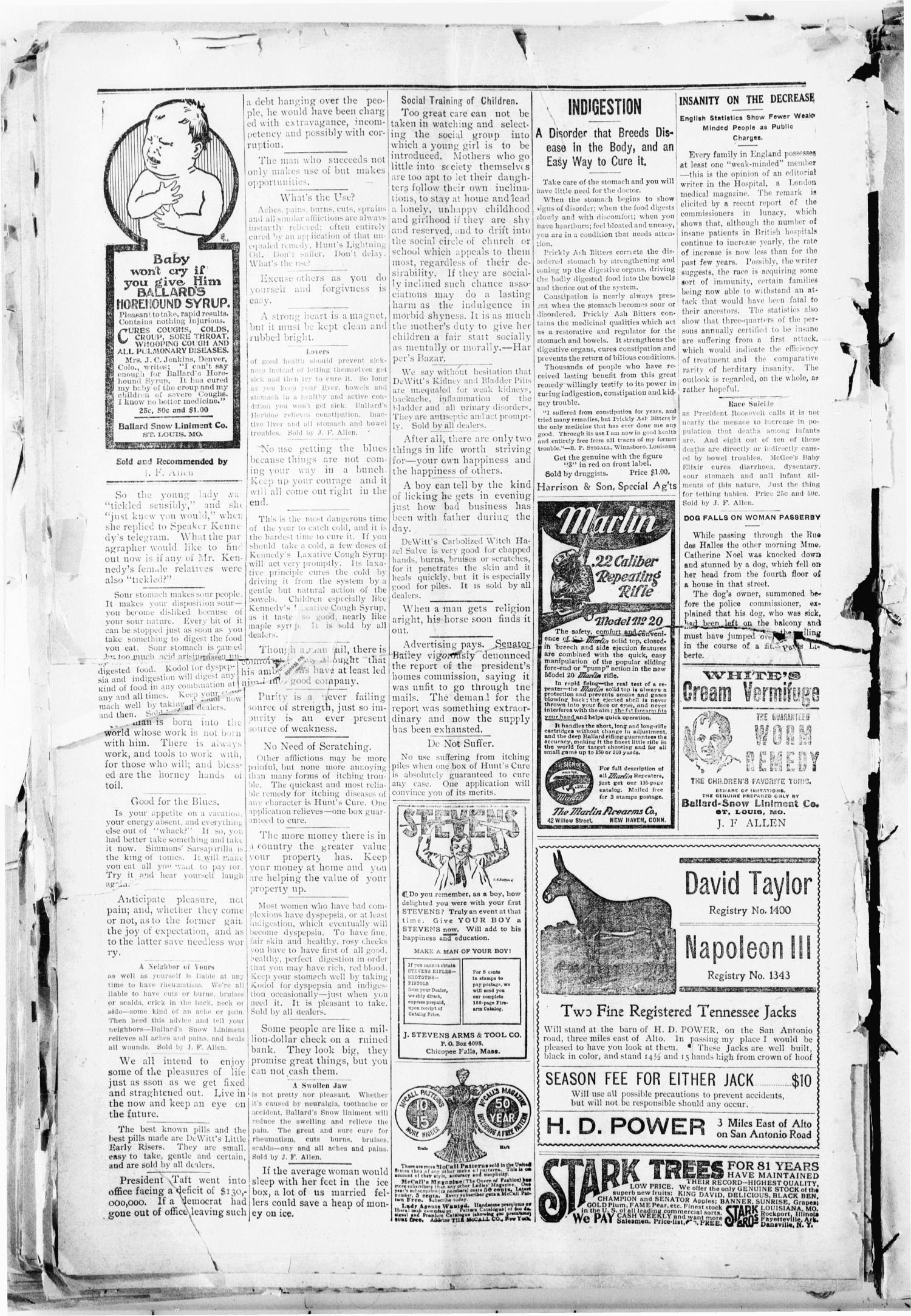 The Alto Herald (Alto, Tex.), Vol. 9, No. 16, Ed. 1 Friday, March 26, 1909
                                                
                                                    [Sequence #]: 8 of 8
                                                