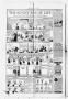 Thumbnail image of item number 2 in: 'The Alto Herald (Alto, Tex.), Vol. 39, No. 41, Ed. 1 Thursday, February 15, 1940'.