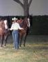 Thumbnail image of item number 1 in: '[Carol Ramsay with two horses]'.