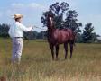 Photograph: [Dr. Robert Morton with Horse]