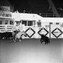 Primary view of [National cutting horse futurity]