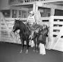 Primary view of [National cutting horse futurity]