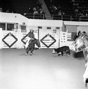 [A Timeless Equestrian Harmony: Barcerole's Dance at LSU, 1970]
