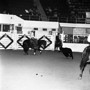 [A Captivating Snapshot: Harmony Unleashed in the LSU Arena, 1970]