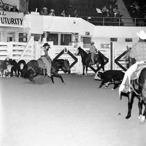 [A Pictorial Echo: LSU's Timeless Horse Ballet in 1970]