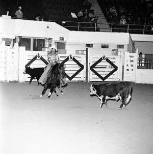 [Harmony in Motion: The Enchanting Ballet of Hooves at the National Cutting Horse Futurity]