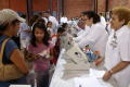 Thumbnail image of item number 1 in: '[Optometrists provide vision screening services at a back to school fair]'.