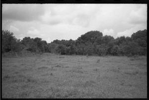 Primary view of object titled '[Site of 1766 Orcoquisac presidio compound]'.